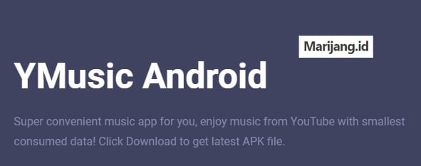 Kelebihan-aplikasi-YMusic Apk