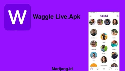 9.-Waggle-Live