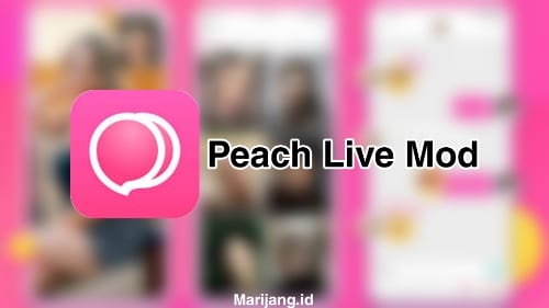 Penjelasan-Aplikasi-Peach-Live-Mod