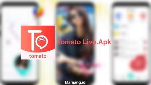 Penjelasan-Aplikasi-Tomato-Live-China