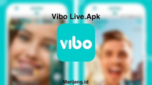 Penjelasan-Aplikasi-Vibo-Live